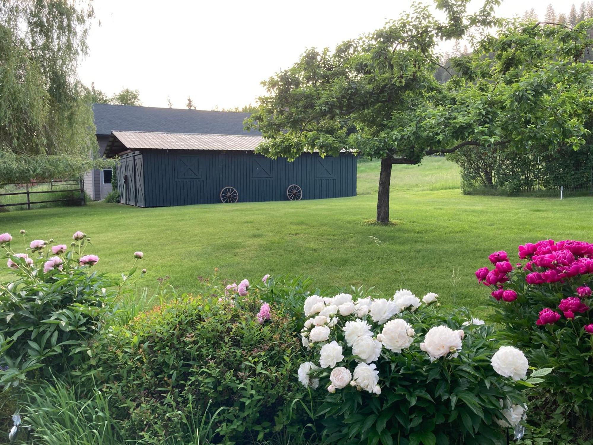 Hideaway Ranch Konuk evi Bonners Ferry Dış mekan fotoğraf