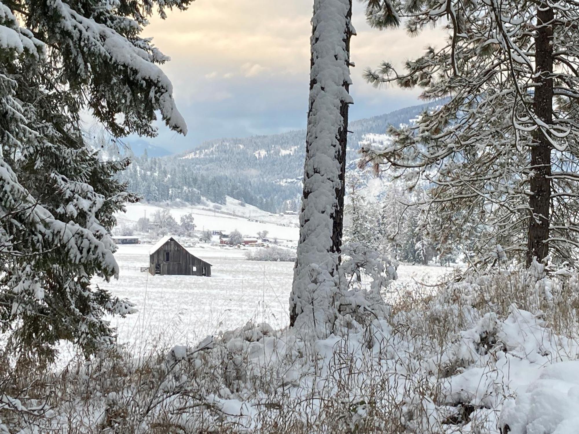 Hideaway Ranch Konuk evi Bonners Ferry Oda fotoğraf