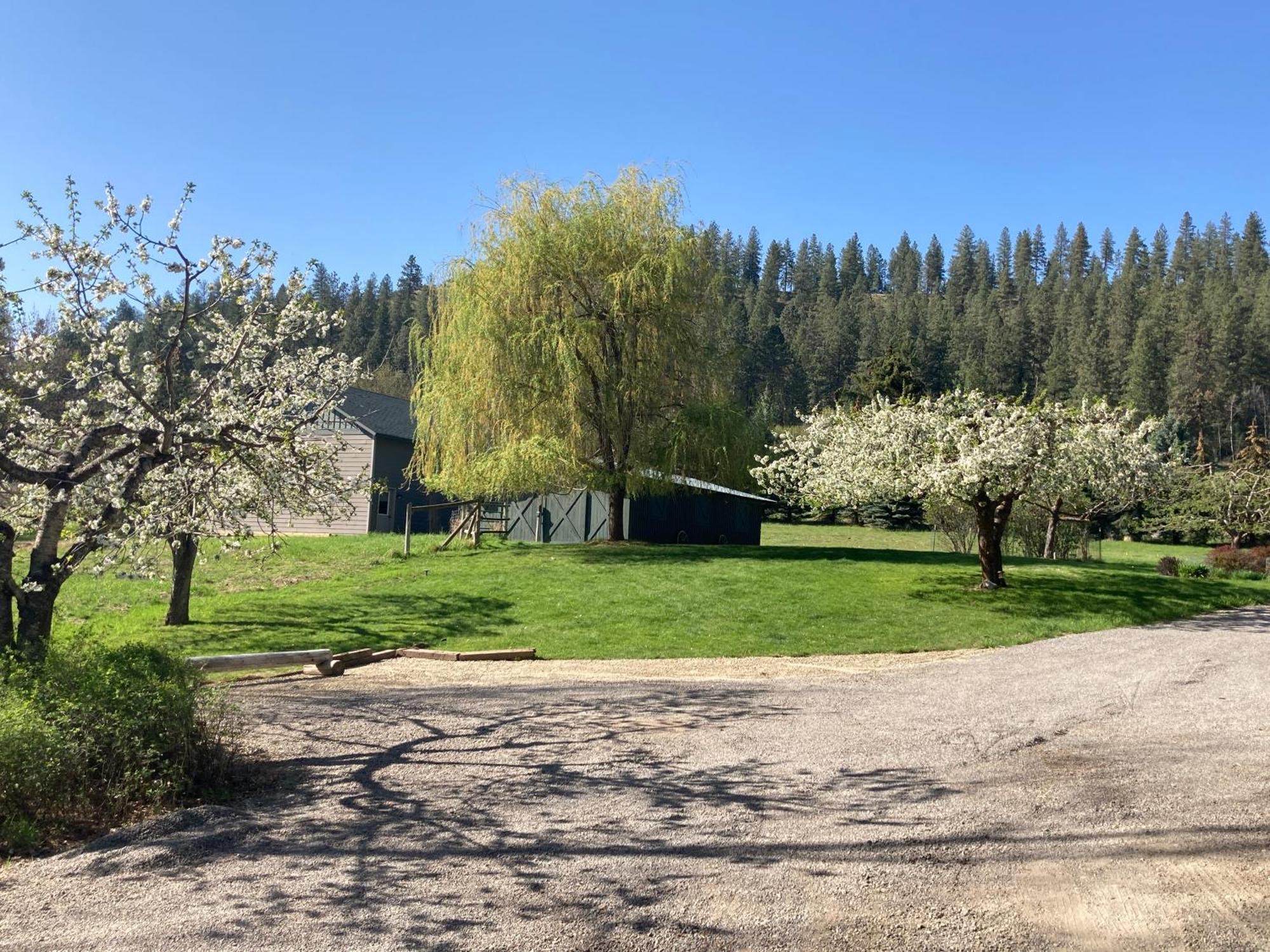 Hideaway Ranch Konuk evi Bonners Ferry Oda fotoğraf