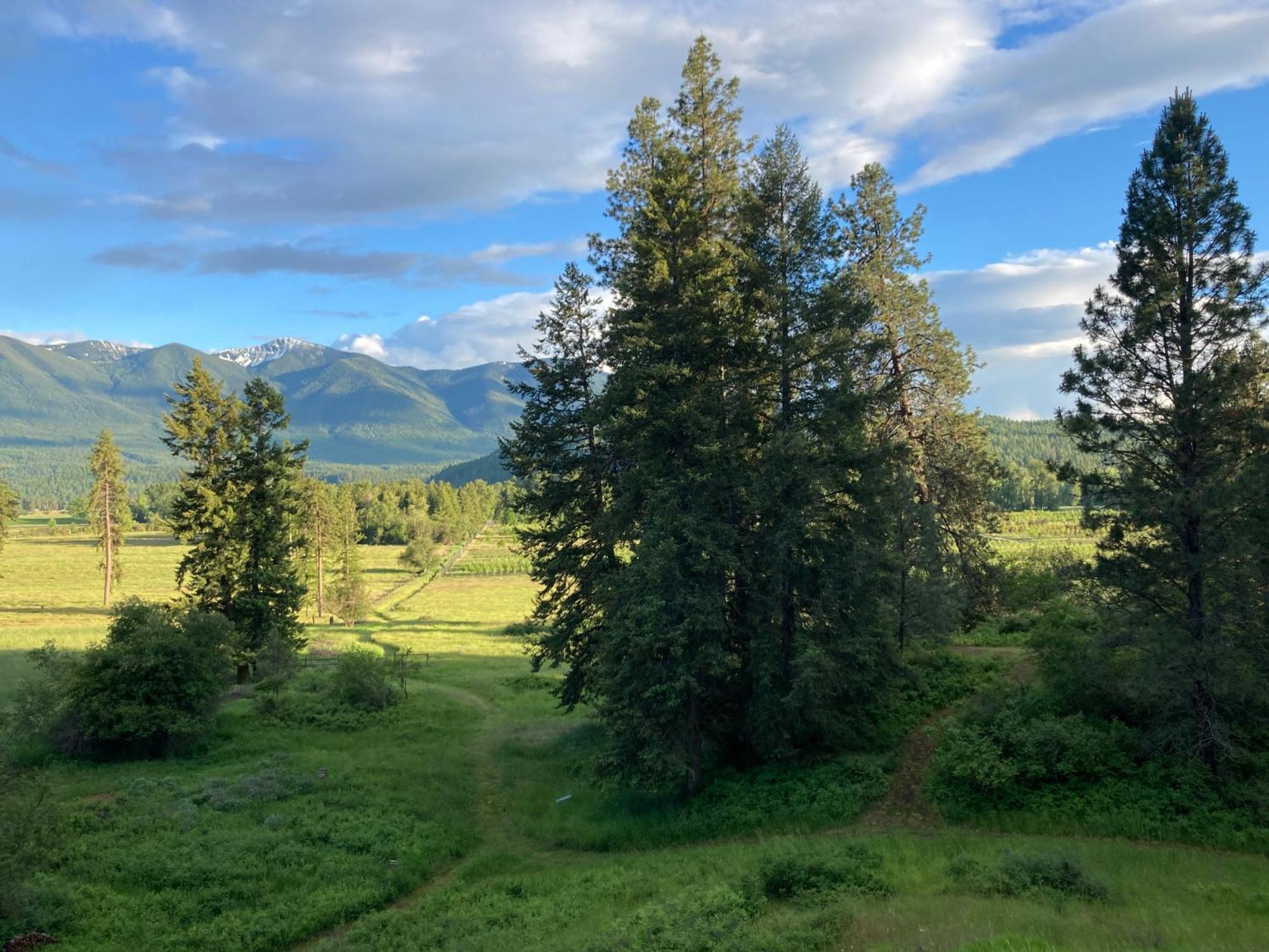 Hideaway Ranch Konuk evi Bonners Ferry Dış mekan fotoğraf